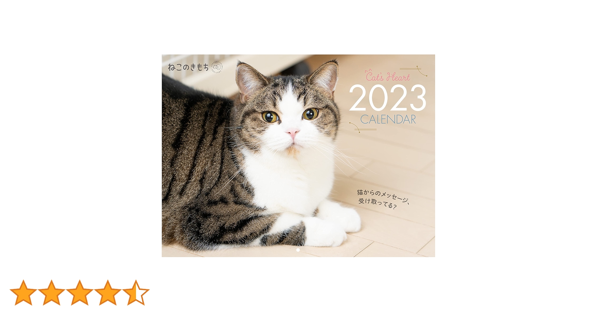 猫のきもち 81FxKWAcQvL.jpg_BO30,255,255,